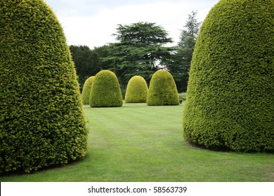 Topiary