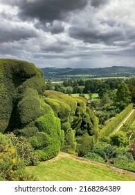 Topiary Art In The Garden. Selective Focus 