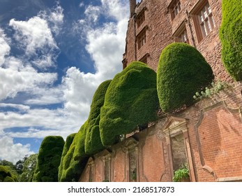 Topiary Art In The Garden. Selective Focus. 