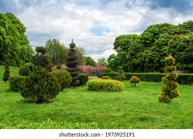 Topiary art in park design. Trimmed trees and shrubs in a summer city park. Evergreen landscape park. - Shutterstock ID 1973925191