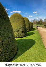 Topiary Art In The Park. Selective Focus 