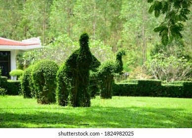 
Topiary Elephants Created From Bushes At Green Animals. Topiary Gardens .Thailand. 