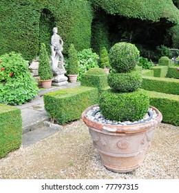 Topiary In A Formal Garden