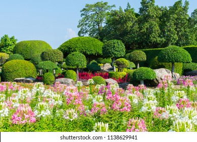 Topiary garden in King Rama 9 Park, Bangkok, Thailand.