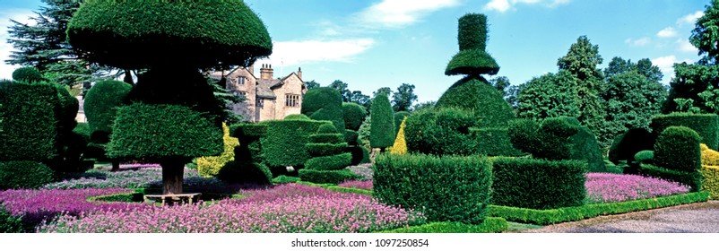 TOPIARY GARDEN AT LEVENS HALL, KENDALL, CUMBRIA, ENGLAND. JULY 2015. The impressive topiary garden at Levens Hall is old and well established over hundreds of years.