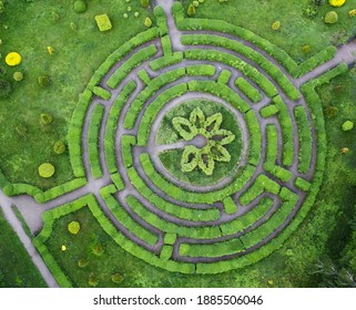 Topiary garden in the shape of a labyrinth, in the botanical garden Grishka in Kiev.