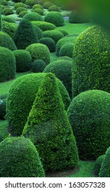 Topiary Garden. Thailand, Phuket, Botanical Garden