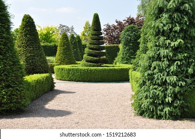 Topiary hedges and spiral tree in formal English garden