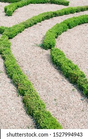 A Topiary Labyrinth With Stones