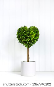 A Topiary Tree With A Heart Shape