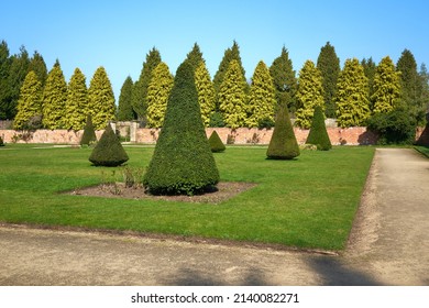 Topiary trees on a lawn