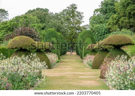 topiary trees and pretty borders with summer flowers in an english country garden