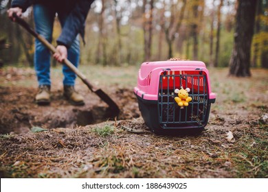 The Topic Of Burial Of Pets Is Not Legal. Man Digs Hole With Shovel For Burying An Animal In The Forest. The Owner Makes The Grave With A Shovel, Digs A Hole In The Ground To Bury The Deceased Cat.