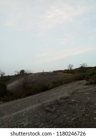 Tops on Mountain