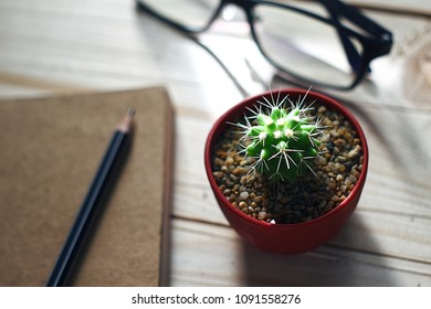 Topview cactus and notebook on the table.
