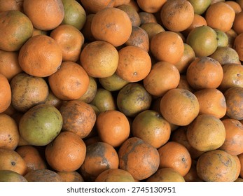topview composition featuring various group fresh organic orange fruit citrous ripe whole half cut part piece healthy juicy raw sweet vitamin food