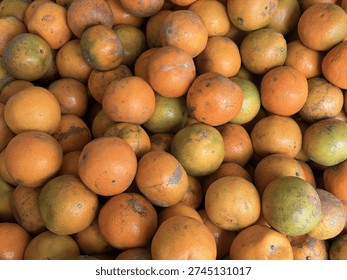 topview composition featuring various group fresh organic orange fruit citrous ripe whole half cut part piece healthy juicy raw sweet vitamin food.