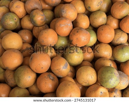 topview composition featuring various group fresh organic orange fruit citrous ripe whole half cut part piece healthy juicy raw sweet vitamin food.