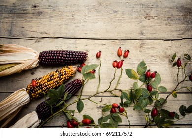 topview, rose hips and corncobs on wood