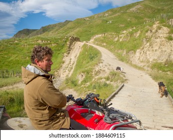 Tora, New Zealand - November 28 2011; New Zealand Hill Country Farmer On Quadbike With Sheep Dogs On Track Through Hills.