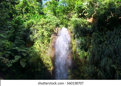 Toraille Waterfall, St. Lucia, Caribbean