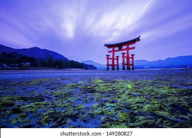 Tori In Hiroshima Japan