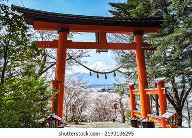 Torii with Cherry Blossom and Mount Fuji Japan.
