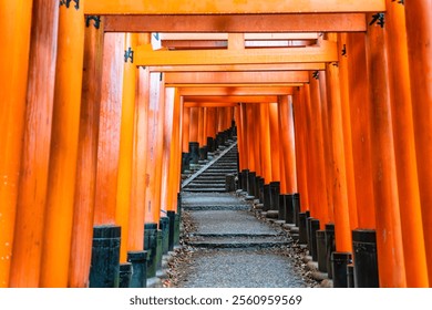 The torii gate covered walking path at  Fushimi Inari Taisha temple in Kyoto, Japan. (English translation from Japanese: religious blessings) - Powered by Shutterstock