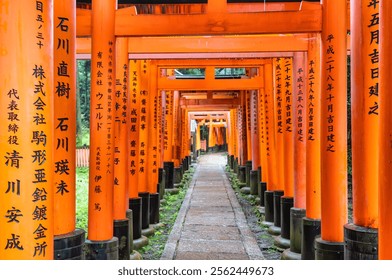 The torii gate covered walking path at  Fushimi Inari Taisha temple in Kyoto, Japan. (English translation from Japanese: religious blessings)
