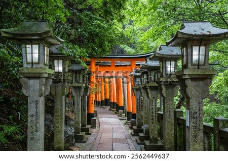 The torii gate covered walking path at  Fushimi Inari Taisha temple in Kyoto, Japan. (English translation from Japanese: religious blessings)