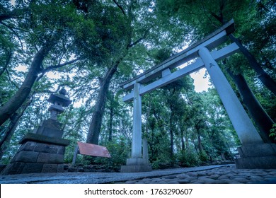 Torii gate in a japanese shinto shrine, Letters of kanji mean to present something 