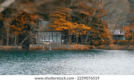 Torii gate at Lake Kinrinko, a small lake that the famous tourist attraction in Yufuin,Oita,Japan