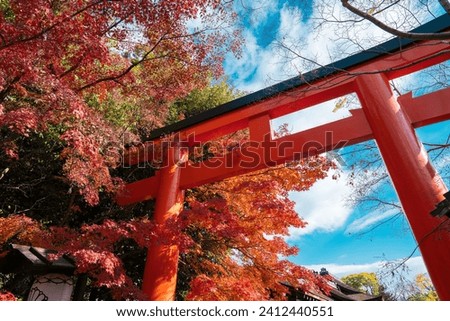 Torii gate of Shimogamo Shrine, Kyoto