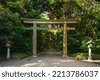 meiji shrine torii gate