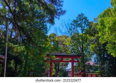 Torii Of Omiya Hikawa Shrine