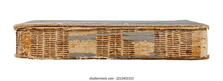 Torn Book Spine Isolated On White Background.