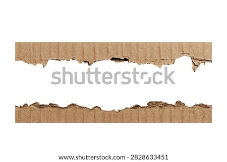 Torn brown cardboard sheet with captured against plain white background stark uneven edges frayed fibers close up view weathered high contrast effect materialscience