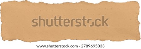 Torn Brown Paper Memo Note Texture