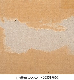 Torn Cardboard Background