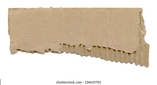 Torn Cardboard Paper