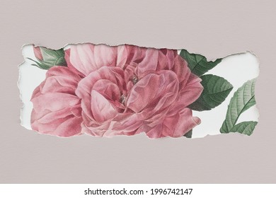 Torn Floral Banner Mockup Design