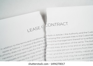 Torn Up Lease Contract On A White Background