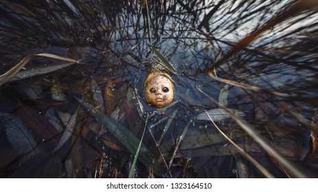 Head Torn Off High Res Stock Images Shutterstock