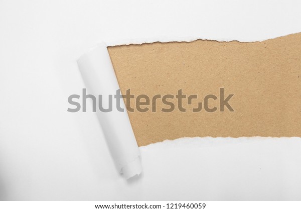 torn package rolled up curvl paper with blank\
white copyspace