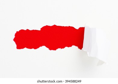 Torn paper banner, isolated on white