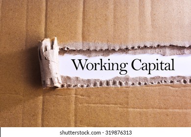 Torn Paper Box With Word Working Capital