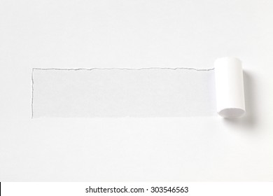 torn paper on white background 