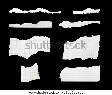 Torn paper. Set of torn paper. Torn paper photo with clipping path.