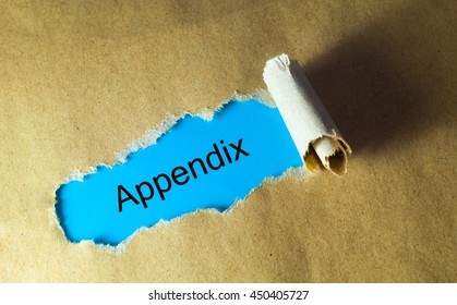 Torn Paper With Word Appendix