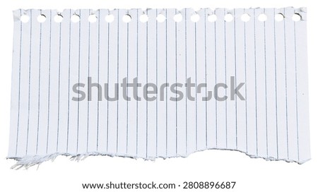 Torn piece of white lined notebook paper with spiral binding holes